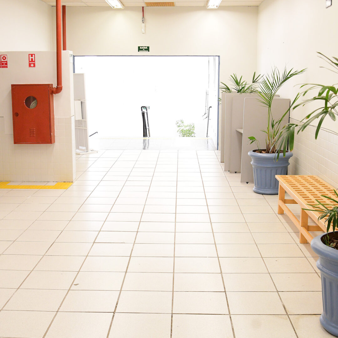 AMBIENTE - DS01-2910