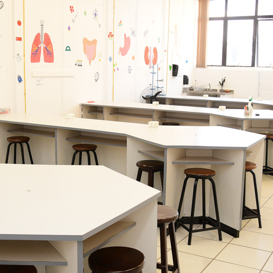 AMBIENTE - DS01-2912