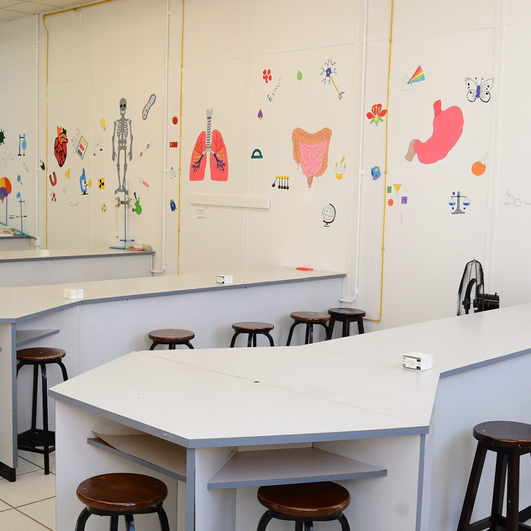 AMBIENTE - DS01-2914