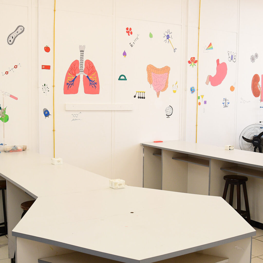 AMBIENTE - DS01-2917