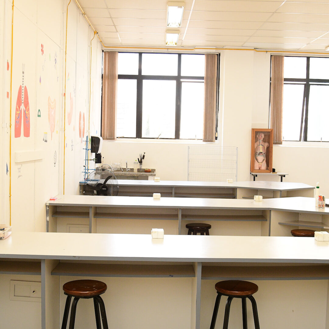 AMBIENTE - DS01-2919