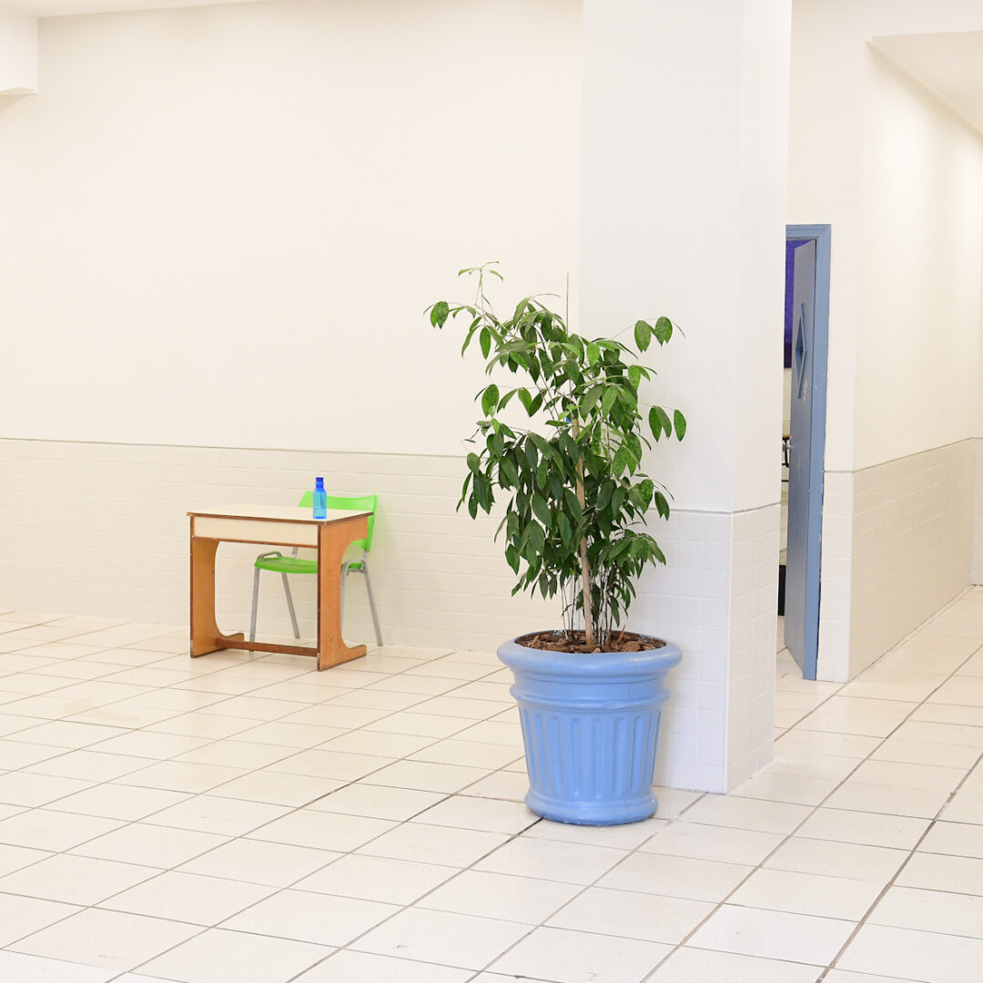 AMBIENTE - DS01-2925